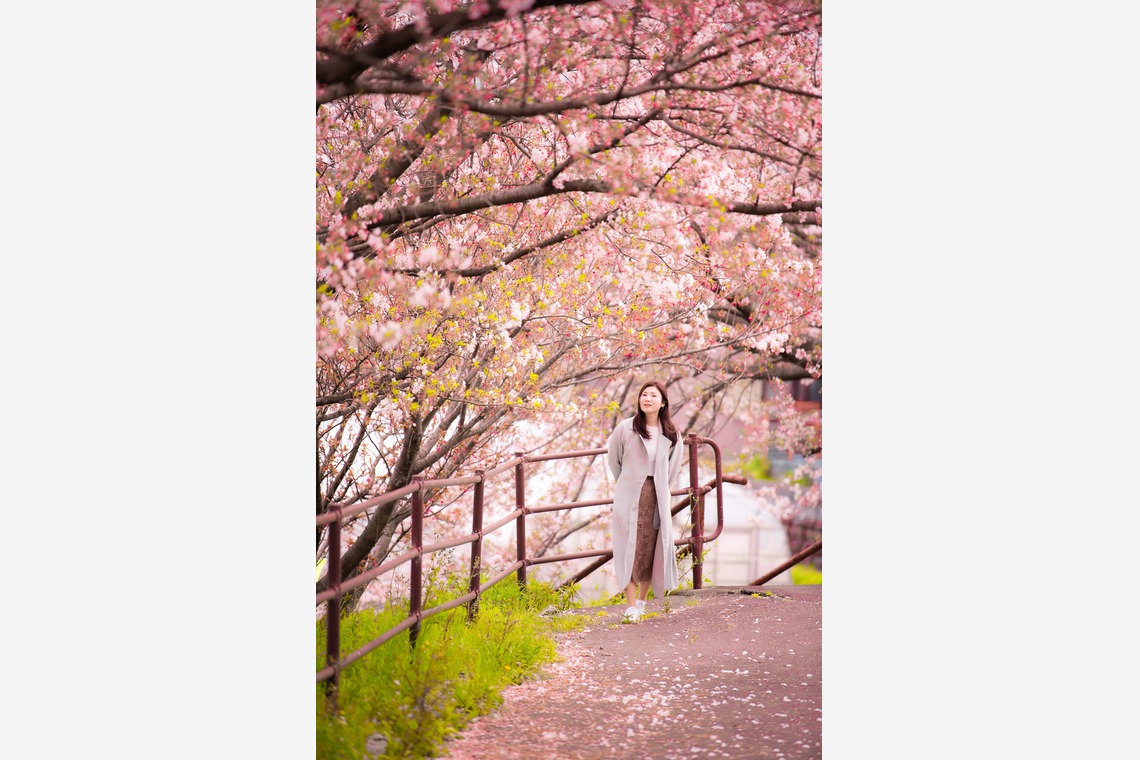 早川 陸が撮影した「サンプル写真」の写真