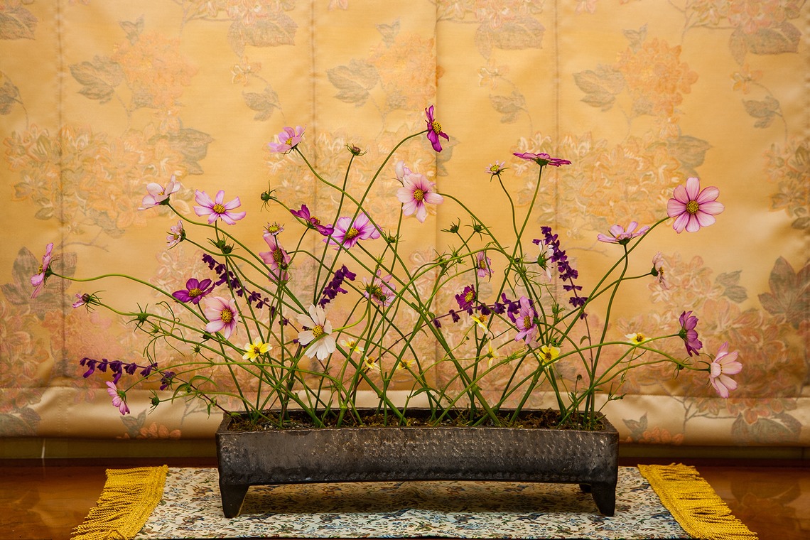 A&K STUDIO CO.,LTD.（上野 晃嗣）が撮影した写真のアルバム「広告写真」