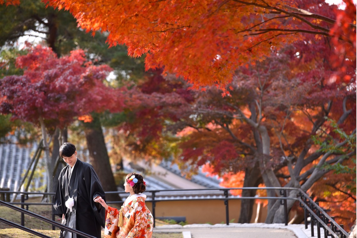 Photo of Pre Weddingphotoshoot at Nara with kimono in autumn taken by Kiki photo works