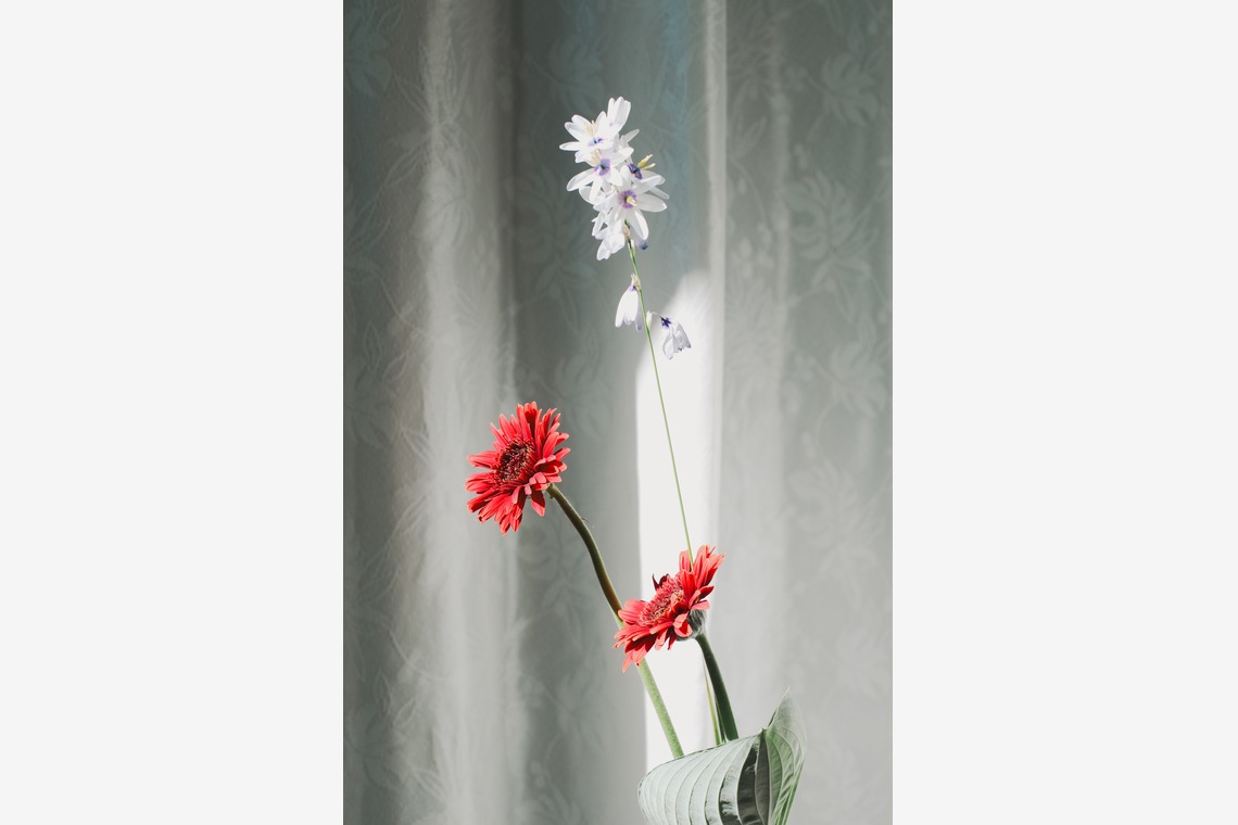 NOJYO高木俊幸写真事務所が撮影した写真のアルバム「花」