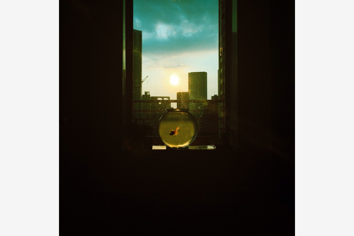 kiharu&photoが撮影した写真のアルバム「風景【ロケ撮影】」