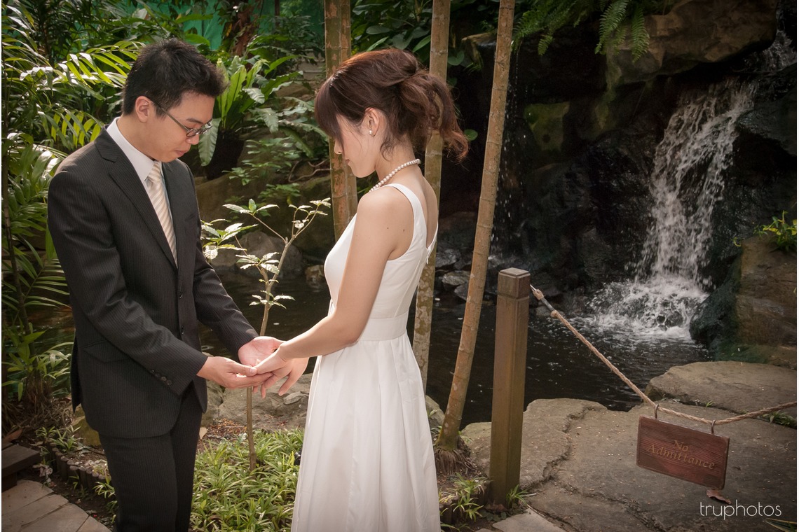 Truphotosが撮影した「シンガポール」の写真