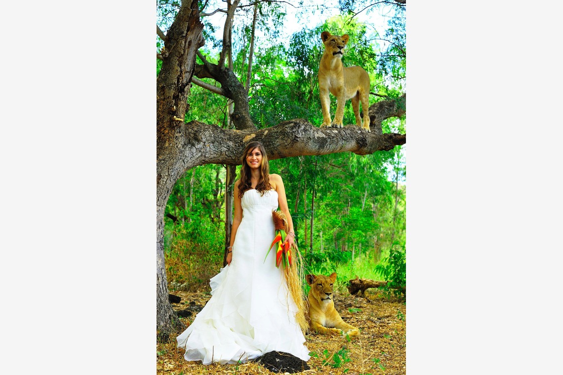 今林 浩一が撮影した「モーリシャス」の写真