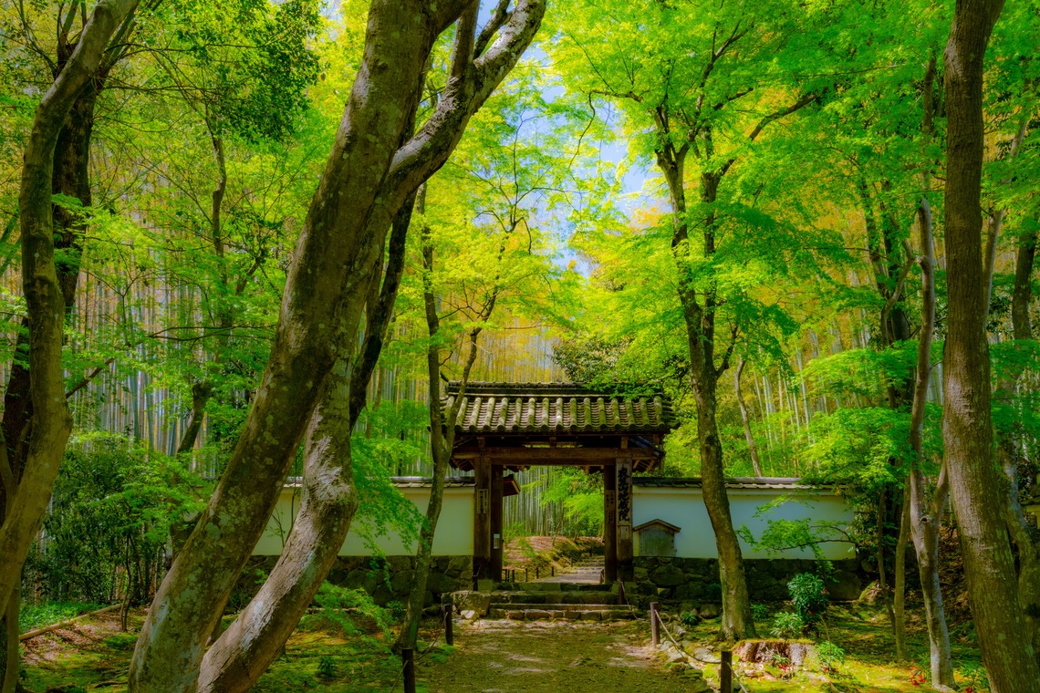 河野慈圓が撮影した「建築関係」の写真
