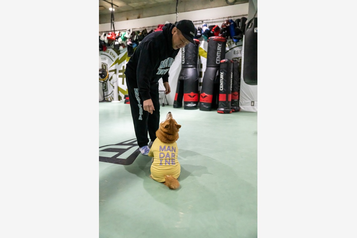 吉田佳央が撮影した「DOG SHOOTING」の写真