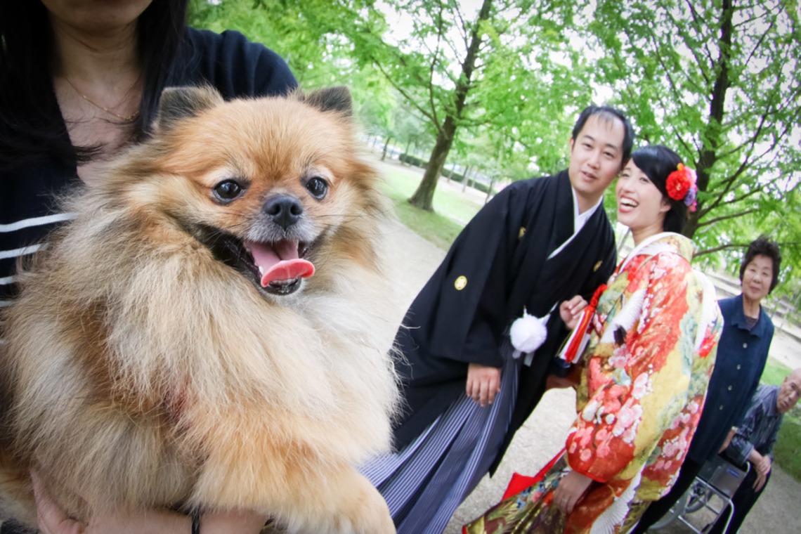 スマイルハンターが撮影した「ロケーション撮影／結婚写真」の写真