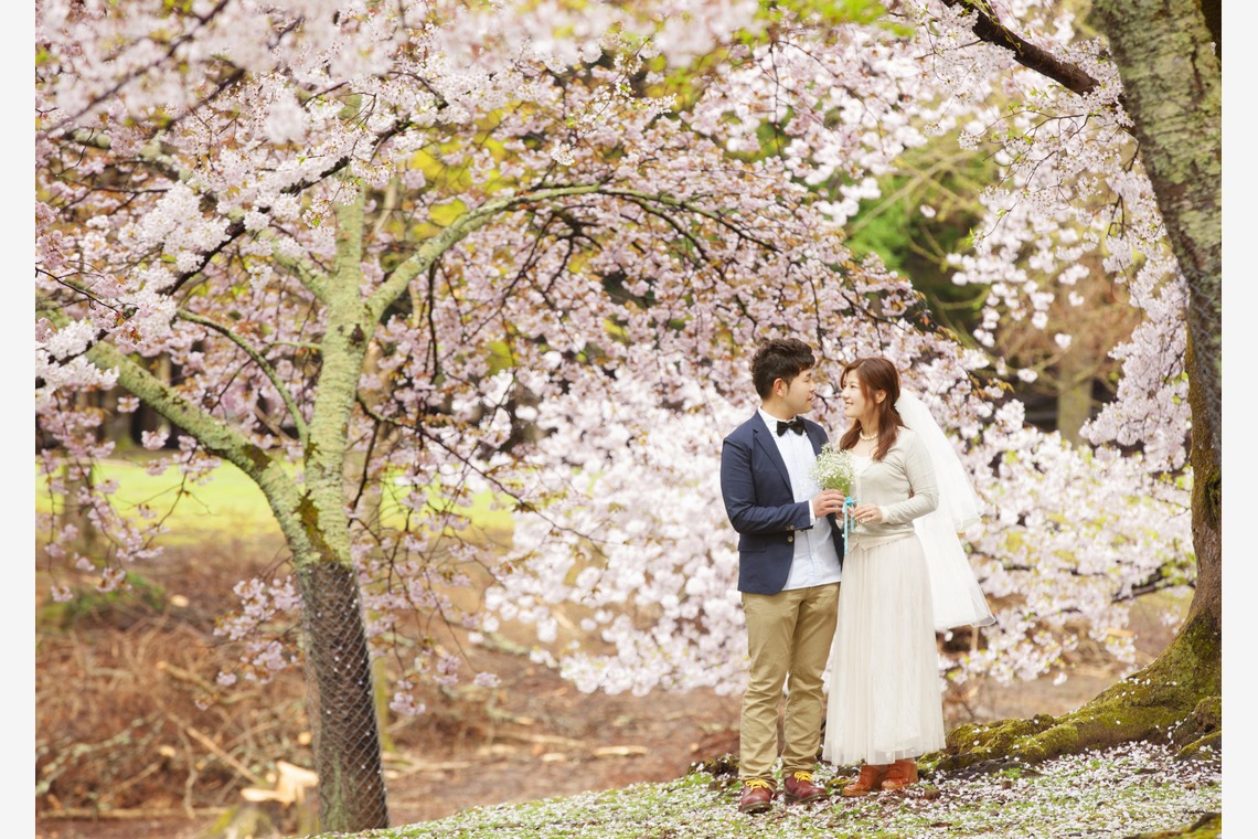 B WORKs PHOTOGRAPHY（丸山  隆史）が撮影した写真のアルバム「春フォト」