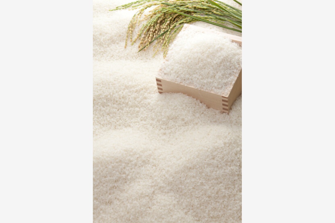 フォトパークが撮影した「愛知県」の写真