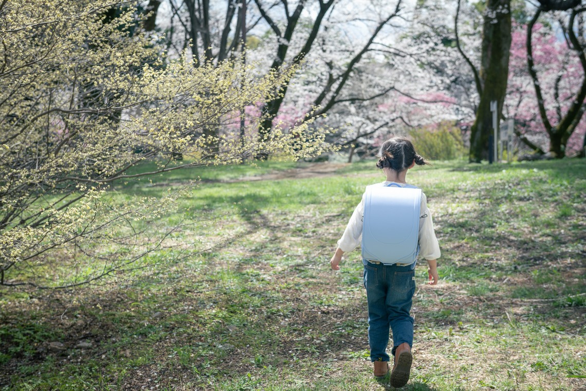 戸澤麻衣が撮影したその他のアルバム「昭和記念公園で新一年生の撮影」
