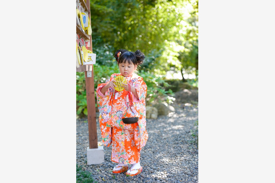 アラタンホヤガが撮影した「七五三の撮影」の写真