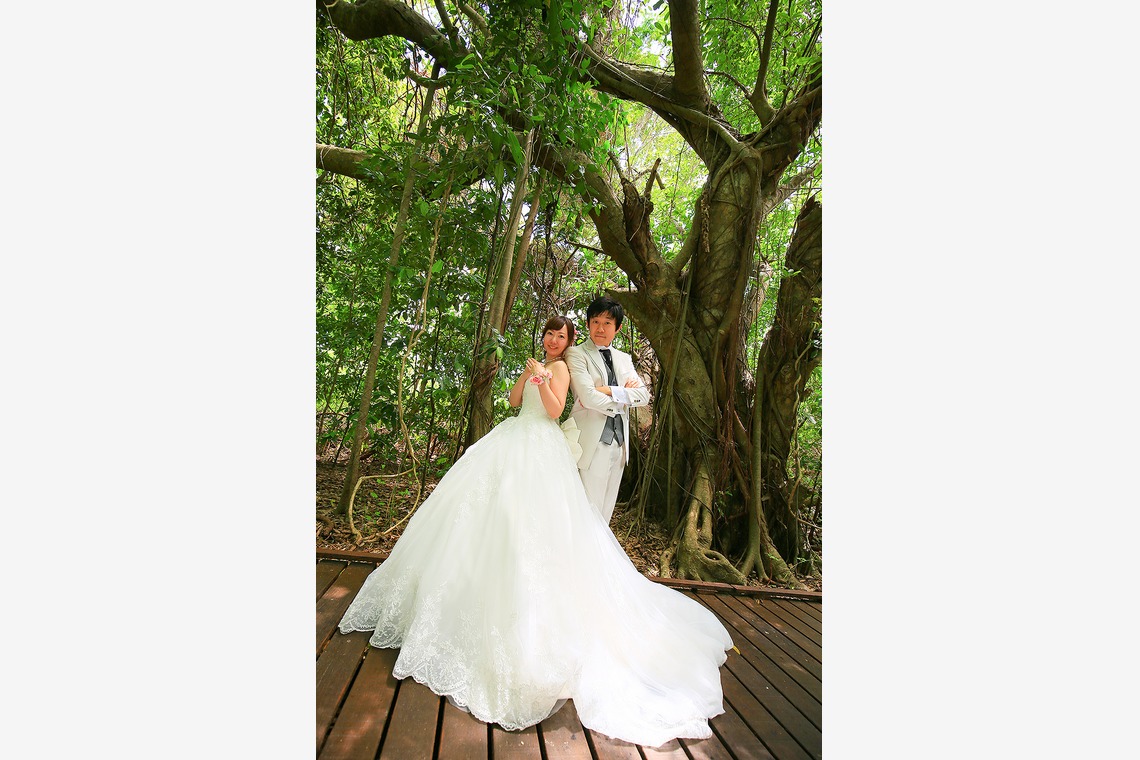 ケアンズ レンズ フォトグラフィーが撮影した写真のアルバム「グリーン島でのひととき」