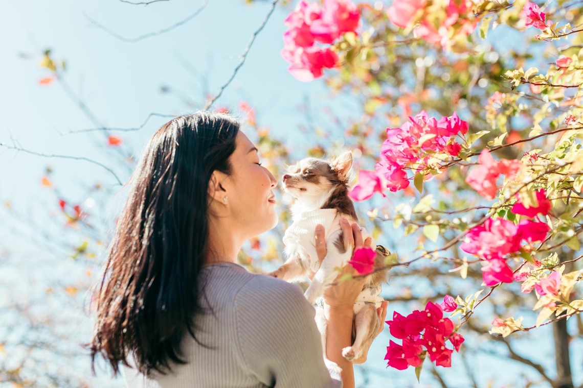 ポートレート沖縄が撮影した「ペット撮影」の写真
