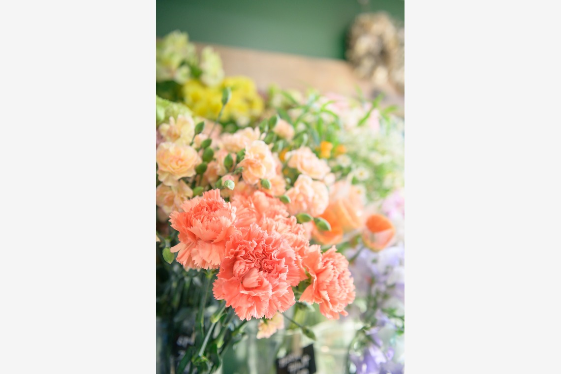 戸澤麻衣が撮影した写真のアルバム「お花屋さんの撮影」