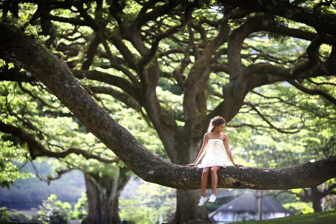 2cconcept (梅田福夫)が撮影した「フォトギャラリー」の写真