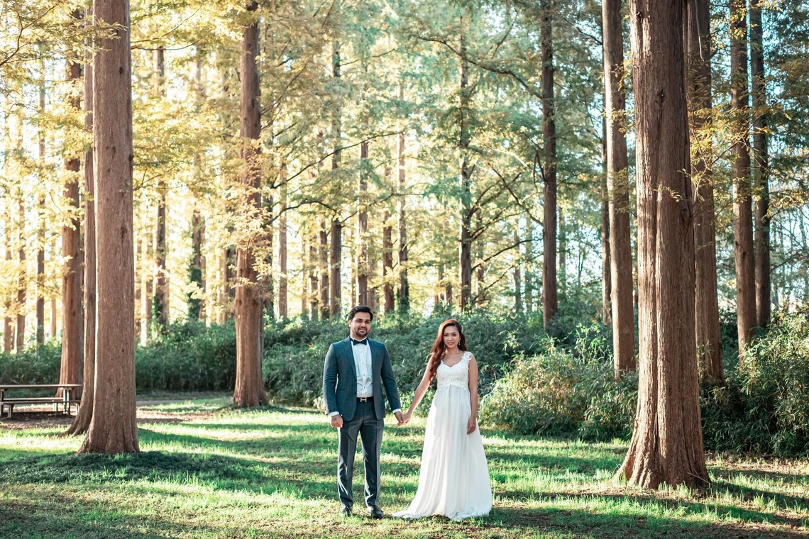 kudophotoが撮影した写真のアルバム「フォトウエディング＿メタセコイアの森」