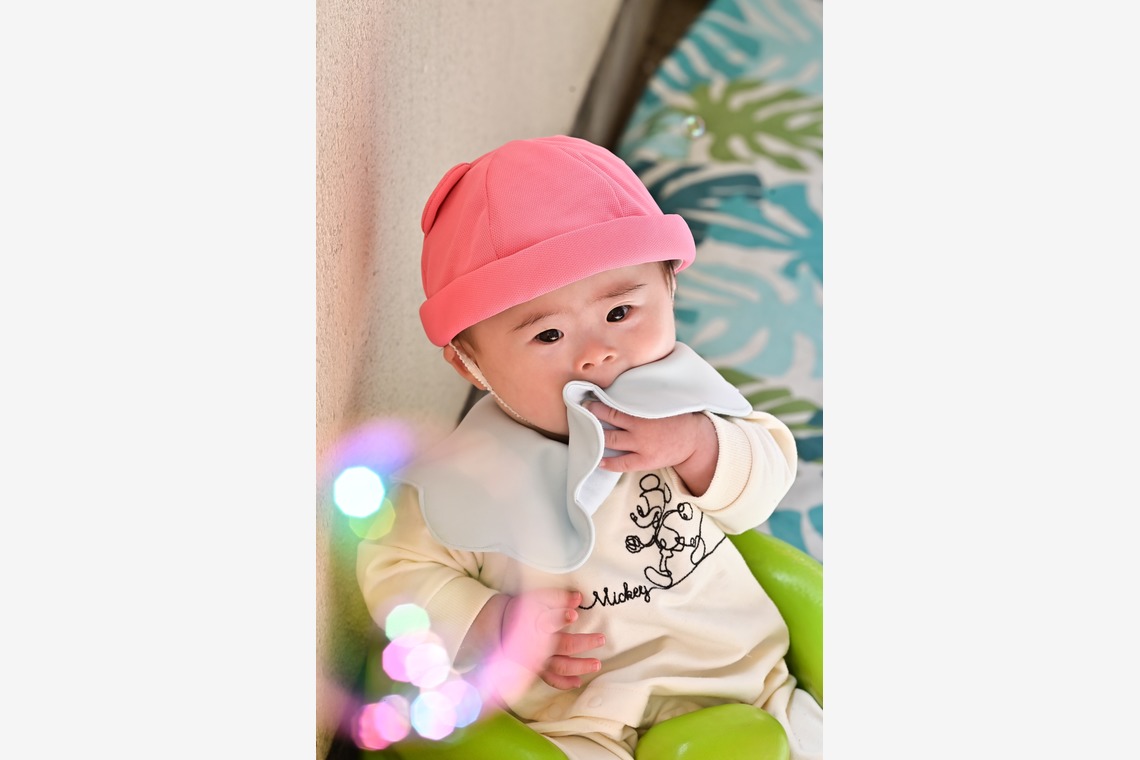 杉野優介が撮影した写真のアルバム「幼稚園撮影」