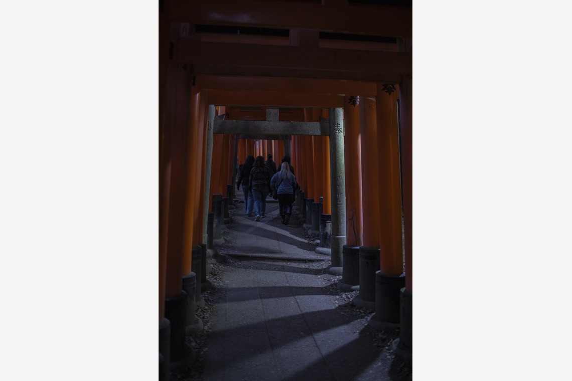 松見　翠が撮影した「風景写真_神社_京都」の写真