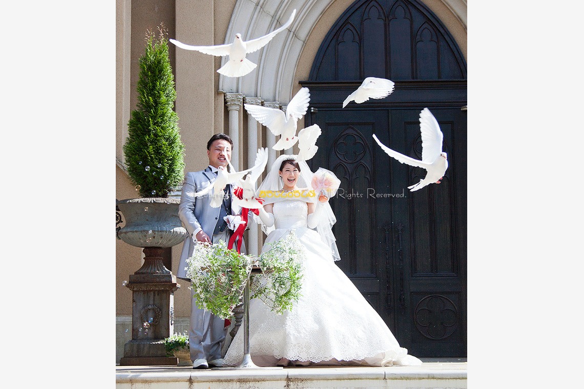 Album of the Wedding, Bridal taken by araddin no lamp - 