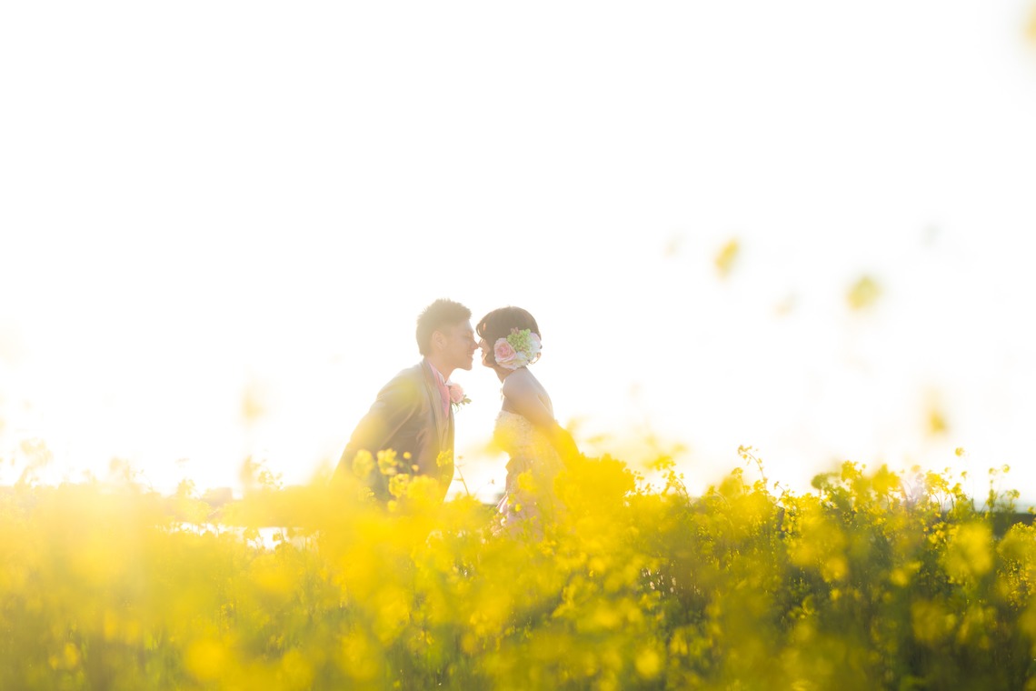 阿部写真館　徳島本店（北原 慎也）が撮影した写真のアルバム「ひまわり　菜の花ロケーションフォト」