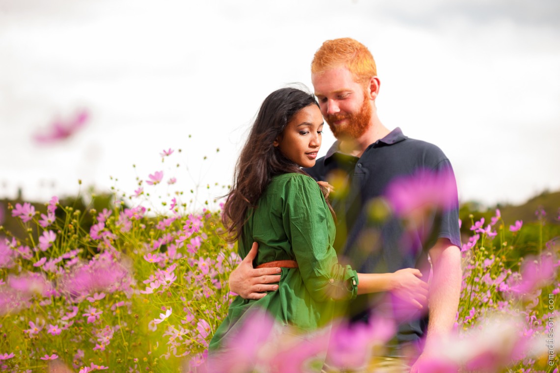 Emadissonが撮影した写真のアルバム「」