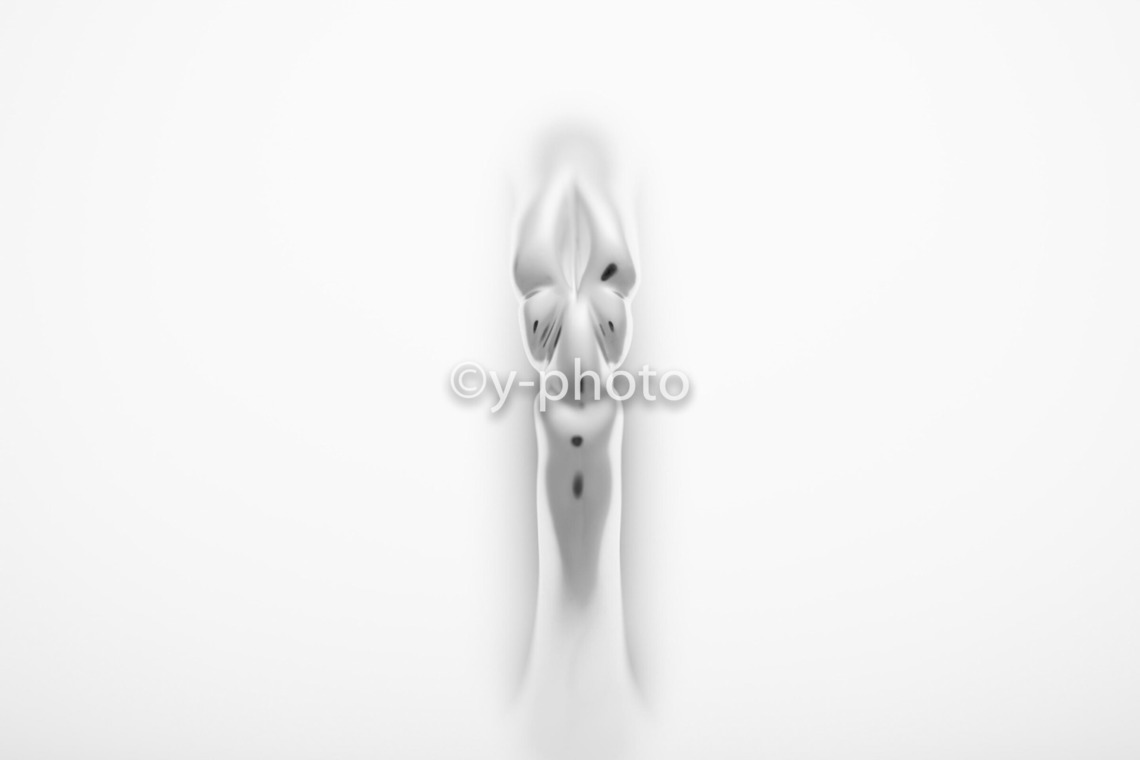 y-photoが撮影した「ビジネス」の写真