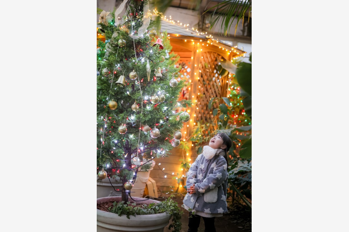 株式会社Neo-Smile 「locationbreeze」高橋 徹が撮影した「記念写真」の写真