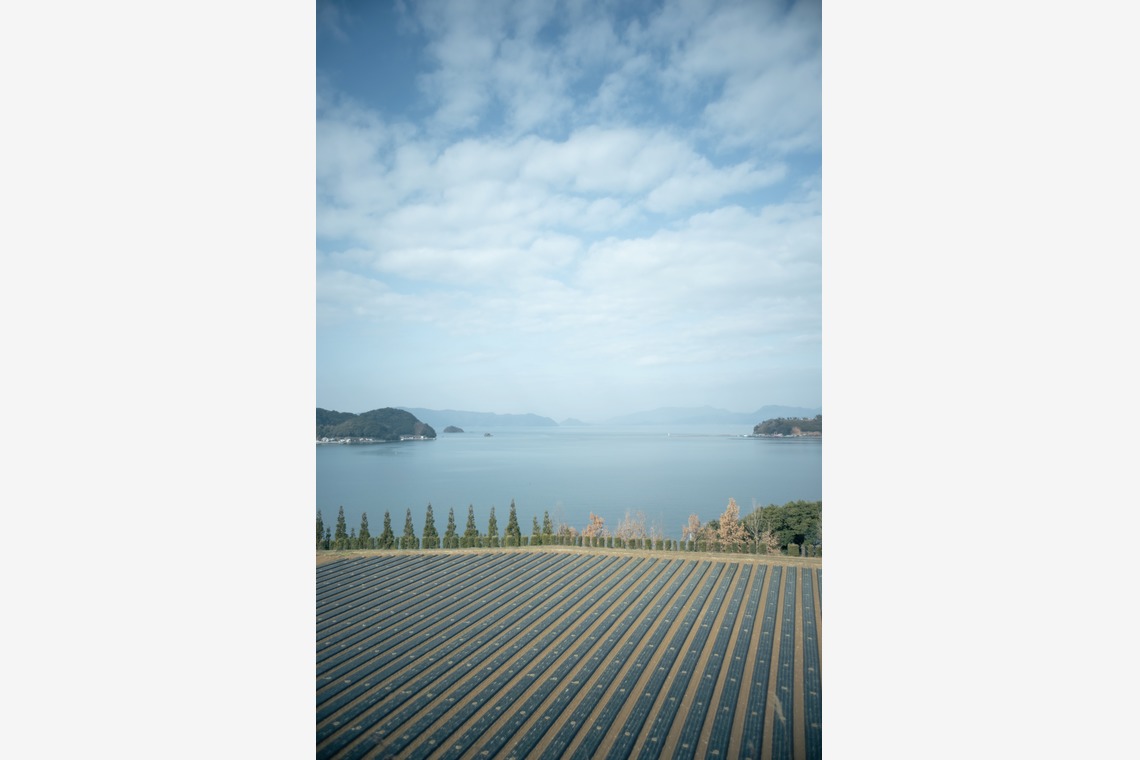 SHO HASEGAWAが撮影した「産地で働く（取材撮影）」の写真