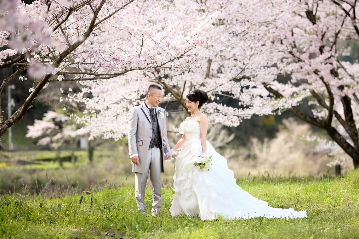 KIKIウェディングが撮影した写真のアルバム「桜　桜　桜」