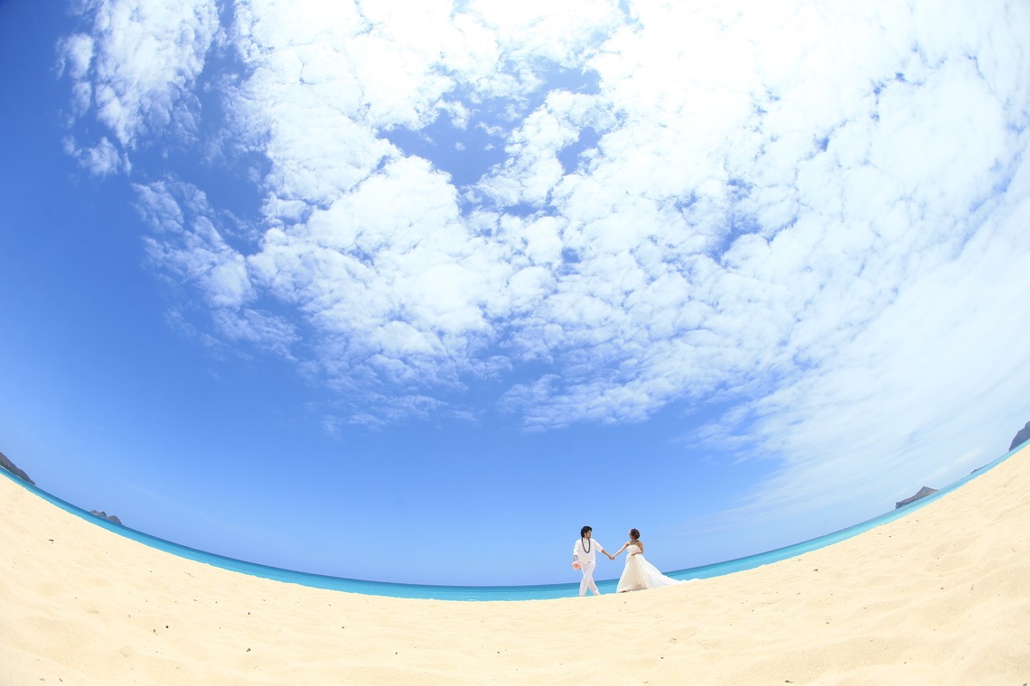 CINEVIEが撮影した「シンデレラプラスワイキキ」の写真