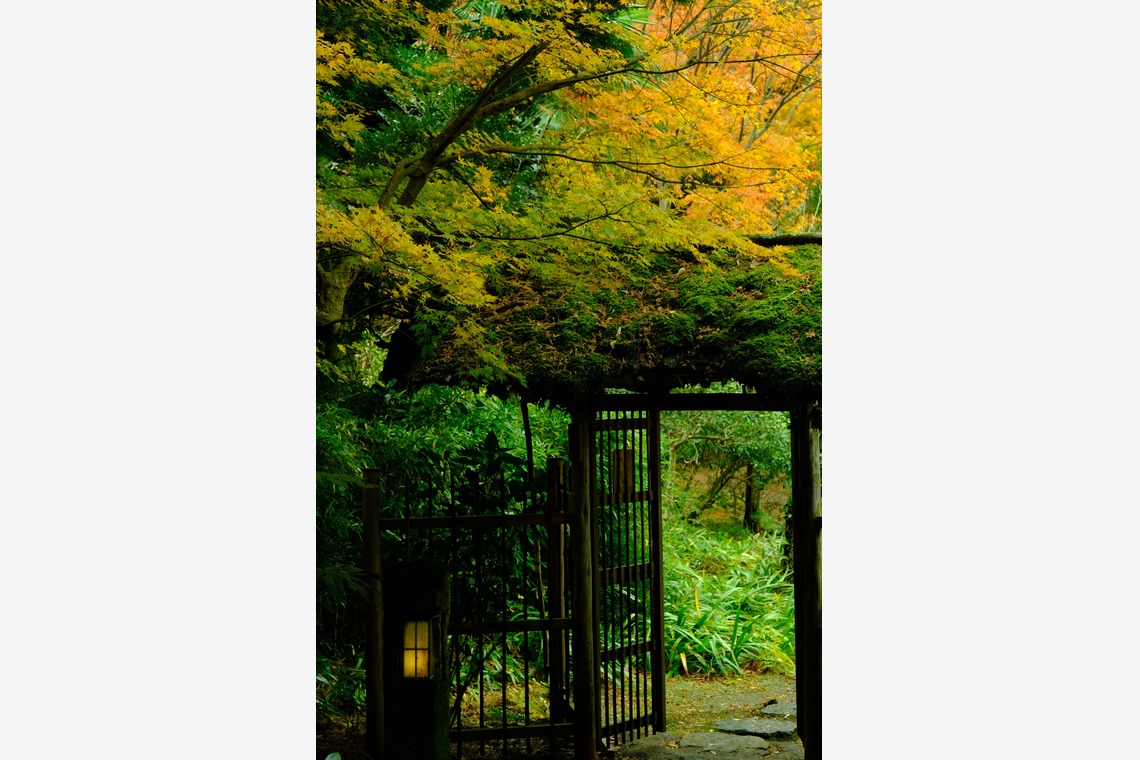 KotobukiPhotosが撮影した「風景」の写真