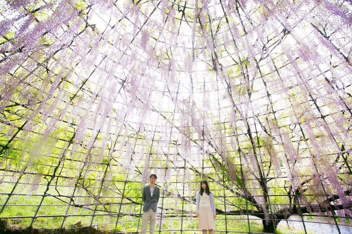 Feel So High! Kenichi Morinaga photography（森永 健一）が撮影した「フォトギャラリー」の写真