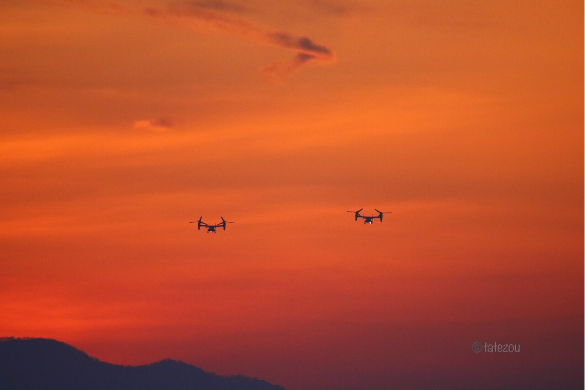 TATEZOUが撮影した写真のアルバム「飛行機」
