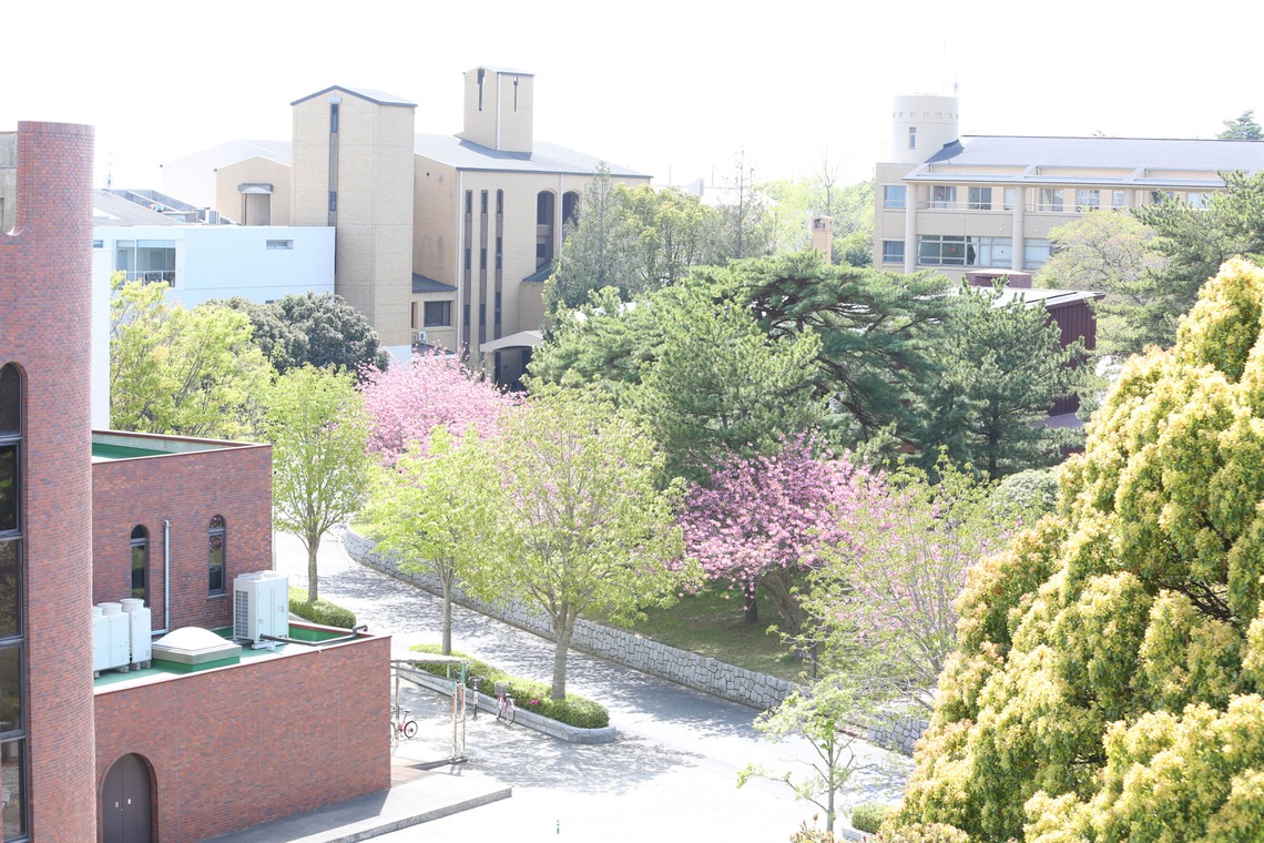 村田わかな広告写真が撮影した「茨城キリスト教大学」の写真