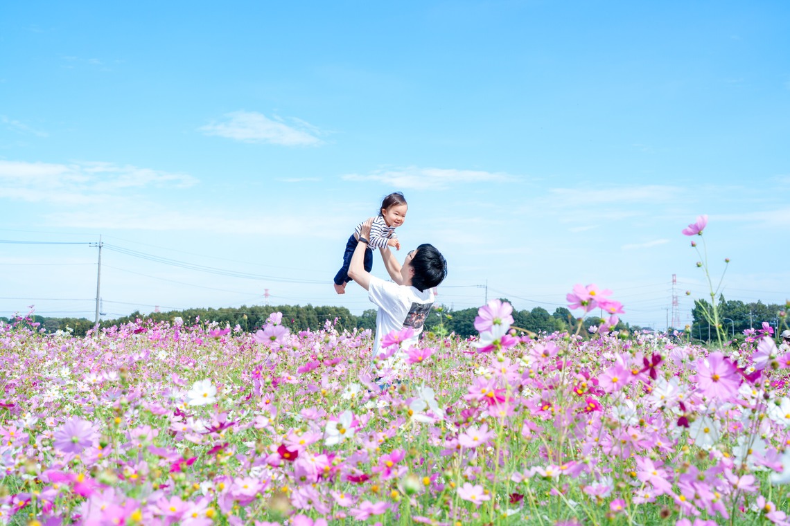 lino-'akaが撮影した写真のアルバム「コスモス」