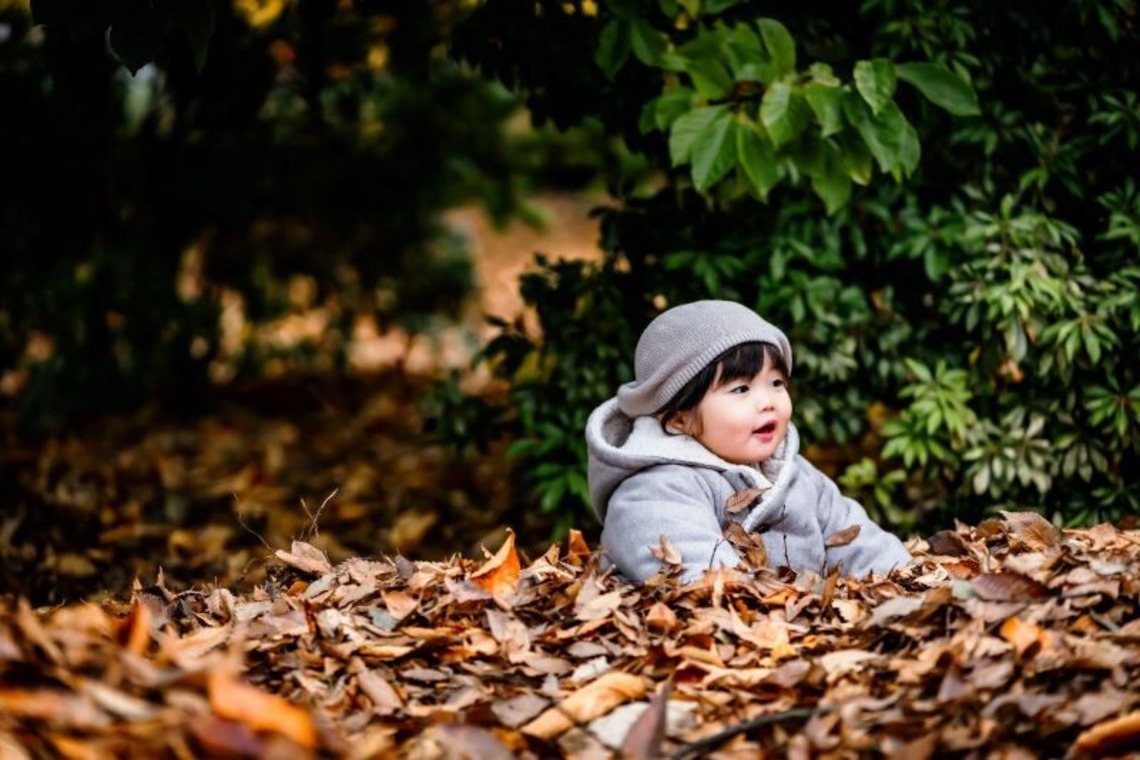 佐藤　克利が撮影した写真のアルバム「宮城県、山形県、福島県、岩手県」
