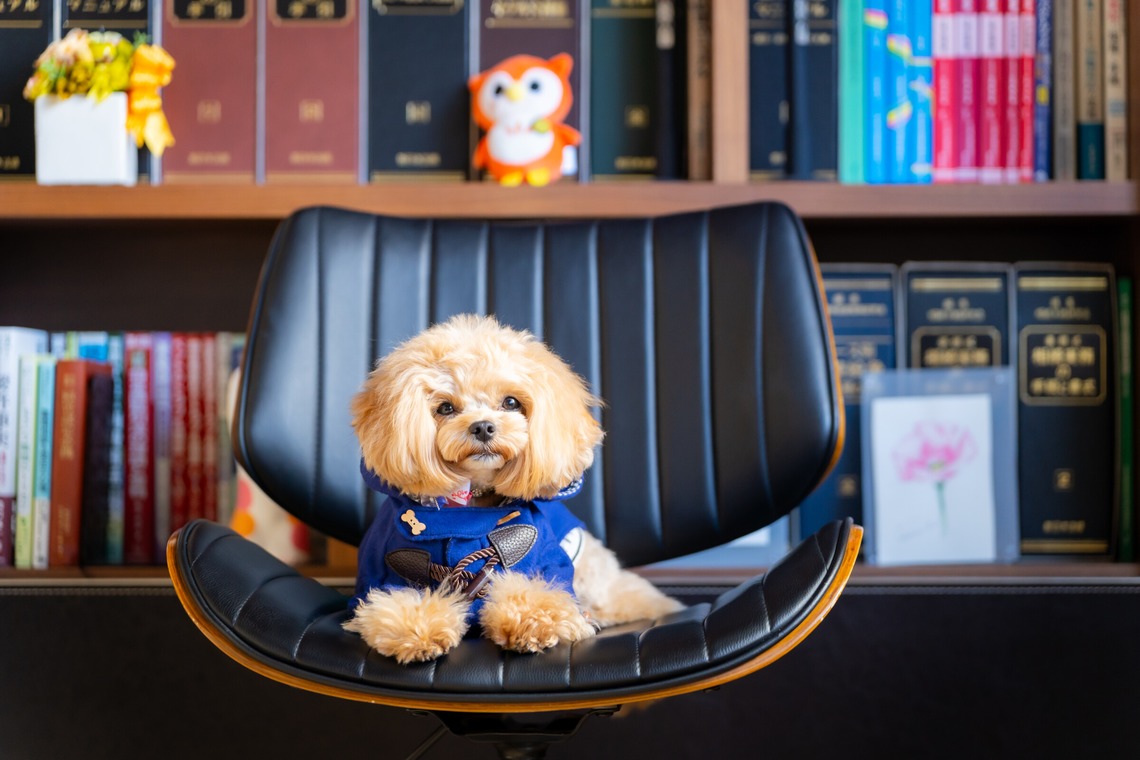 Tajimaが撮影した写真のアルバム「ペット」