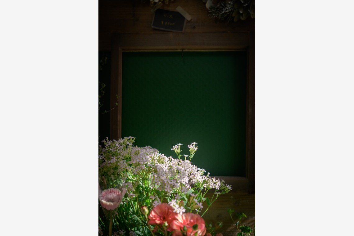 戸澤麻衣が撮影した写真のアルバム「お花屋さんの撮影」