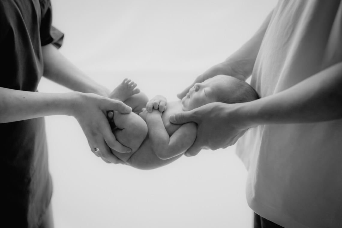 roseeが撮影した「studio」の写真