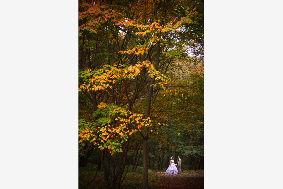 HAYASHI PHOTO STUDIOが撮影した「ロケーションフォト」の写真