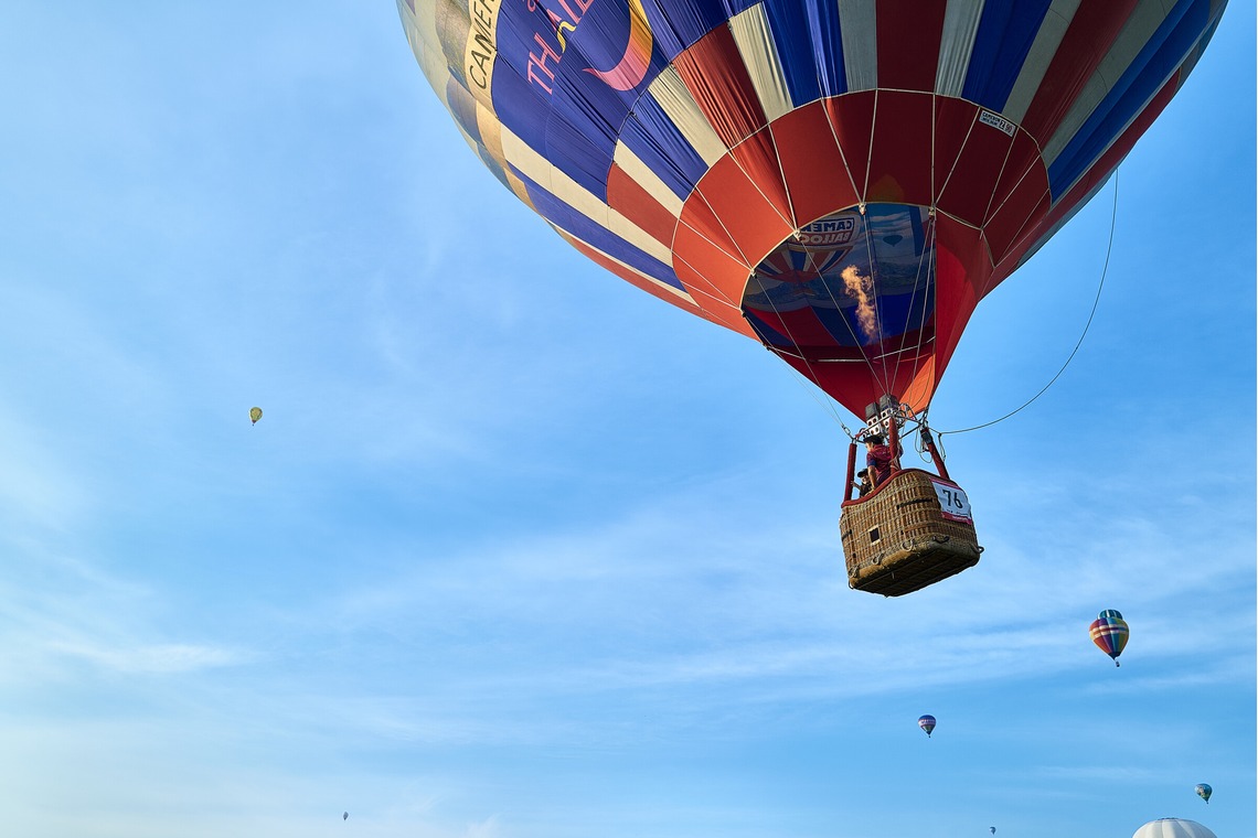 津田野 瑞希が撮影した「イベント・記録撮影」の写真