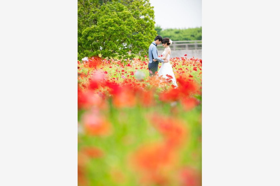 meganecco Photographyが撮影した「結婚式前撮り@ひたち海浜公園」の写真
