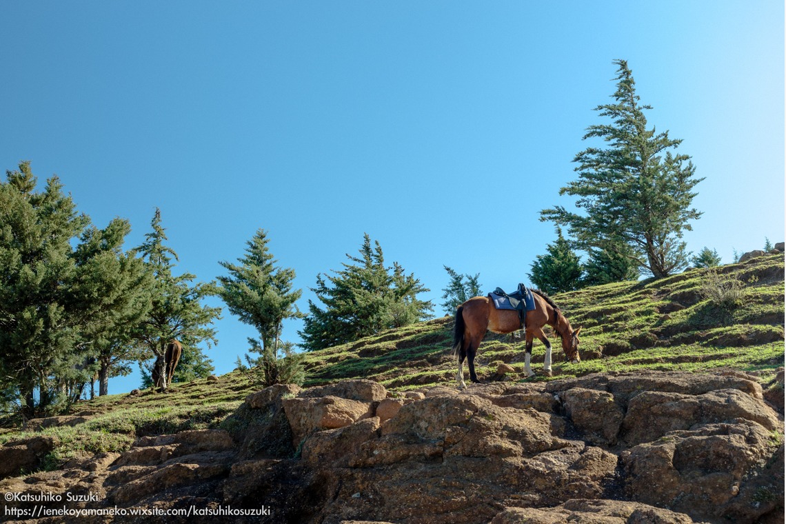 Katsuhiko Suzukiが撮影した写真のアルバム「レソト王国」