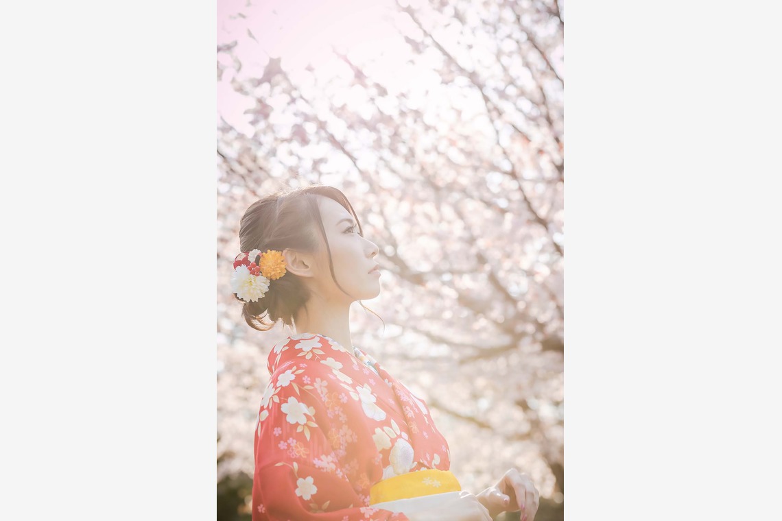 APKが出張撮影した家族写真(キッズ,ベビーフォト)などが写った「カジュアル着物で桜ロケーション撮影　2019年4月」の家族写真