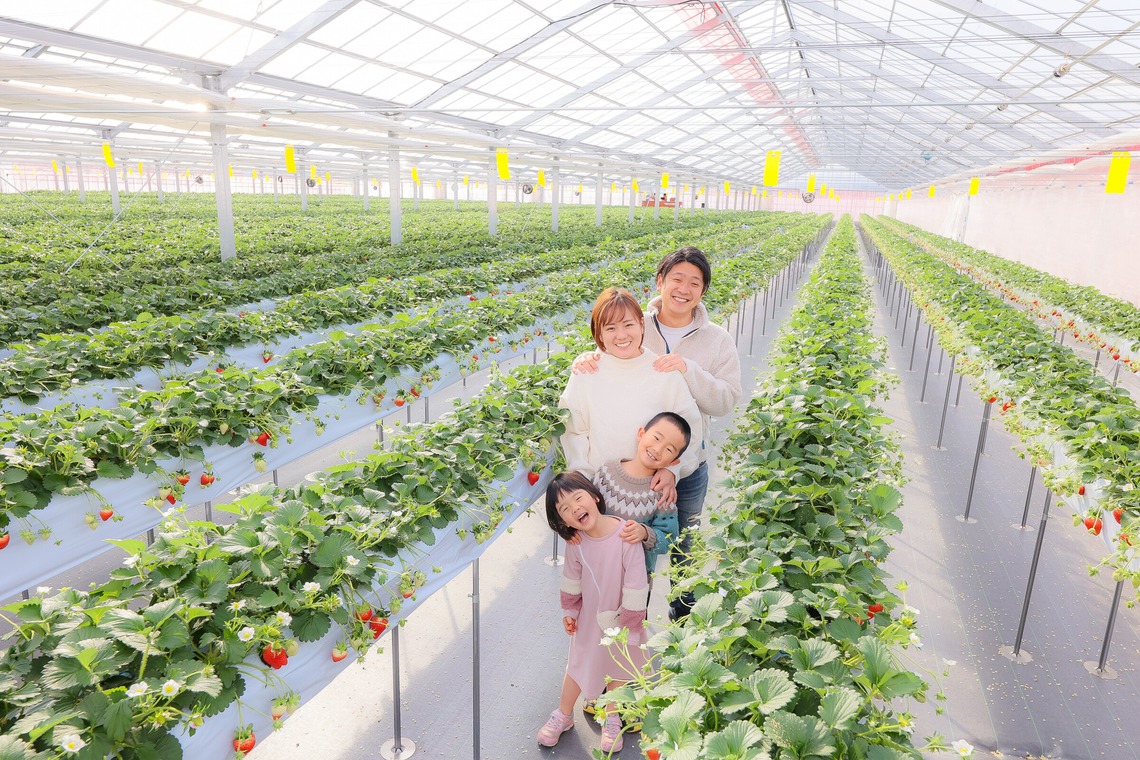 株式会社Neo-Smile 「locationbreeze」高橋 徹が撮影した「かがやきいちご園様（広告撮影）」の写真