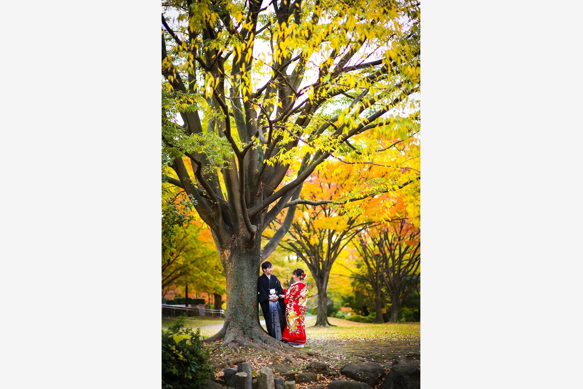加倉井 規晃が撮影した「ロケーション・前撮り・公園・和装」の写真