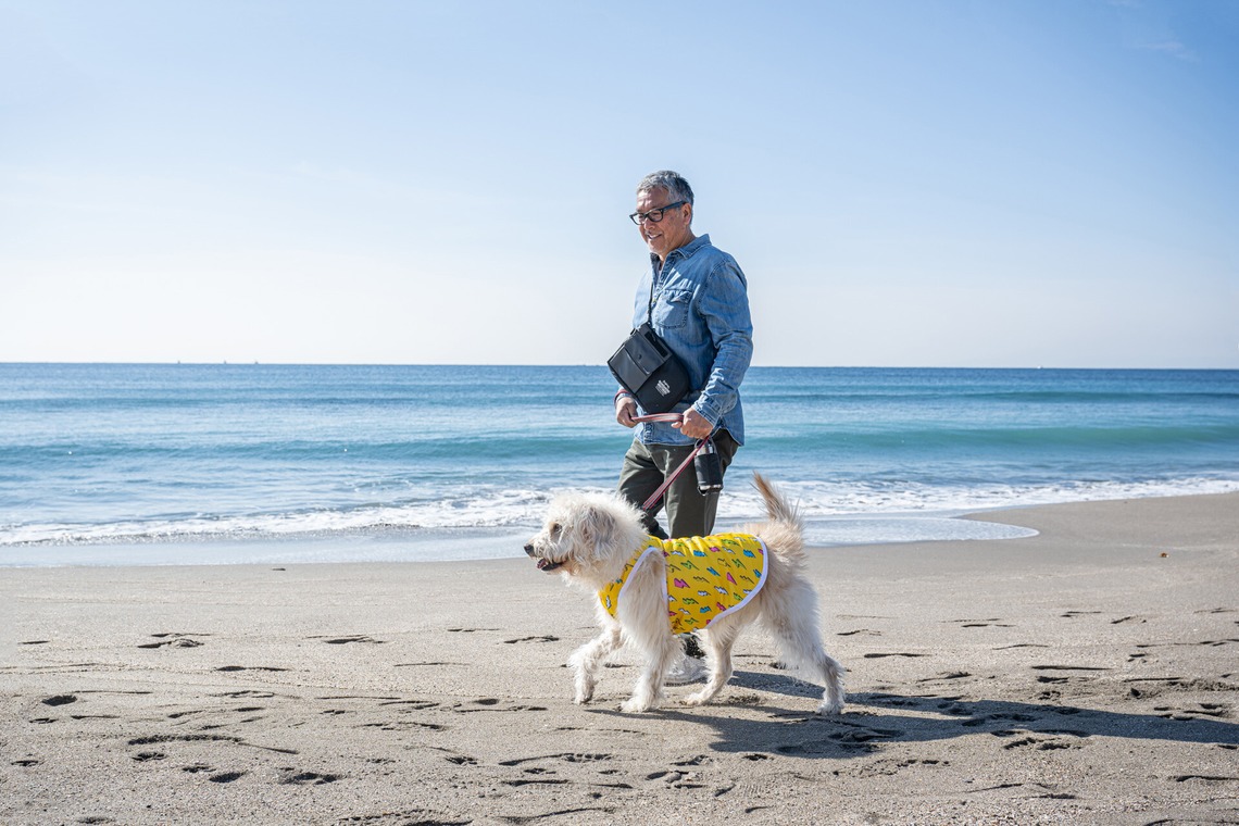 吉田佳央が撮影した「DOG SHOOTING」の写真