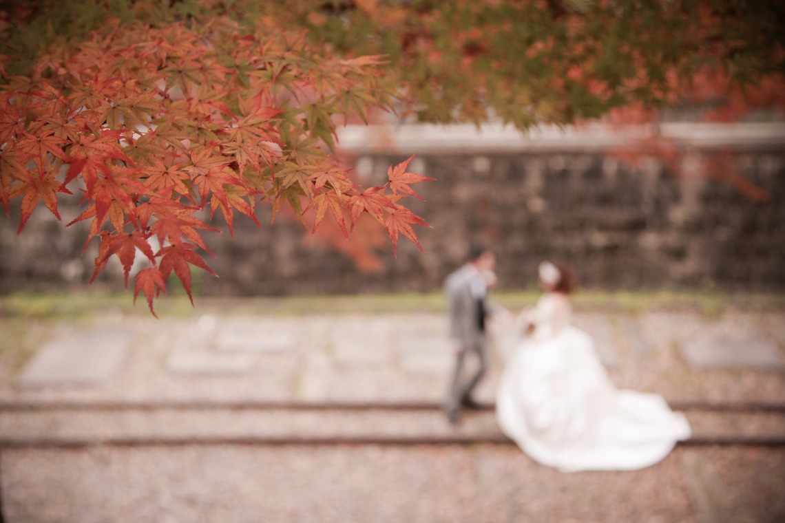 イデアグラフが撮影した「ロケーションフォト」の写真