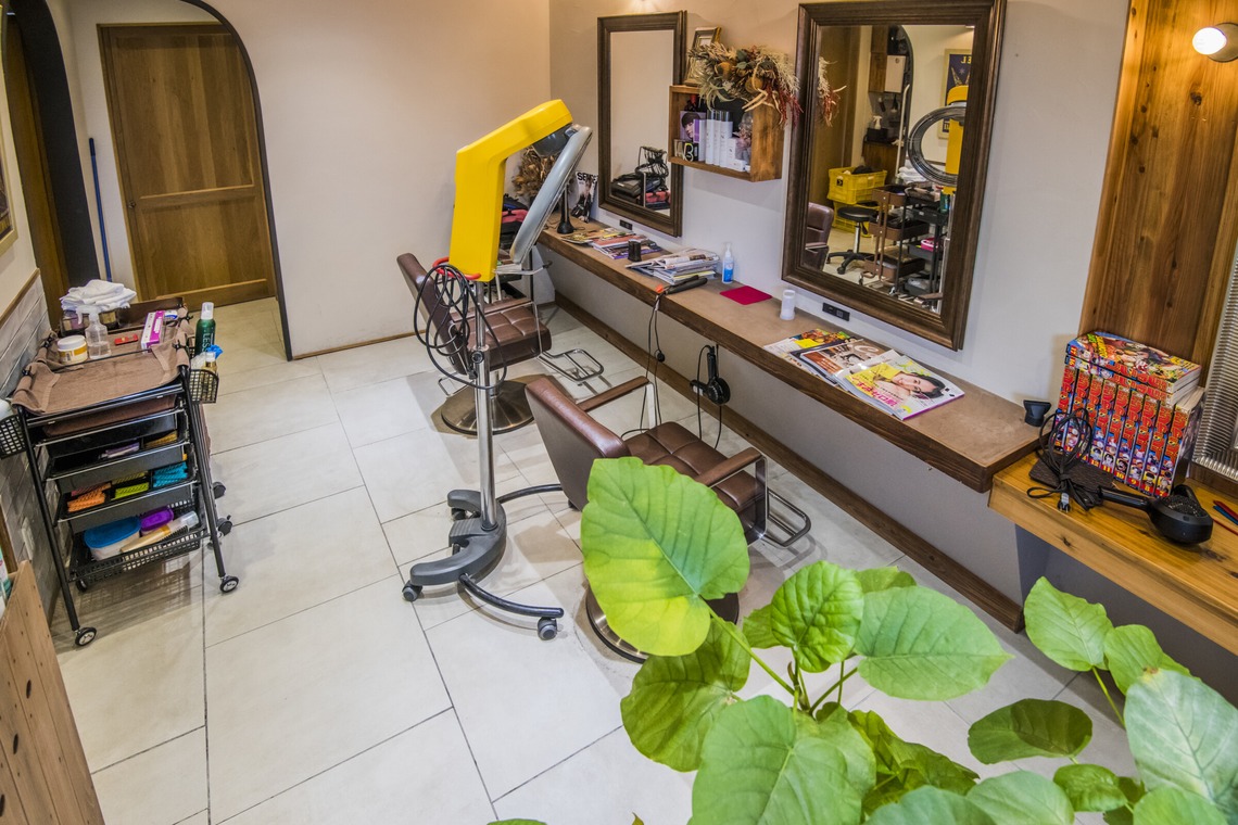 リトルダイナソー