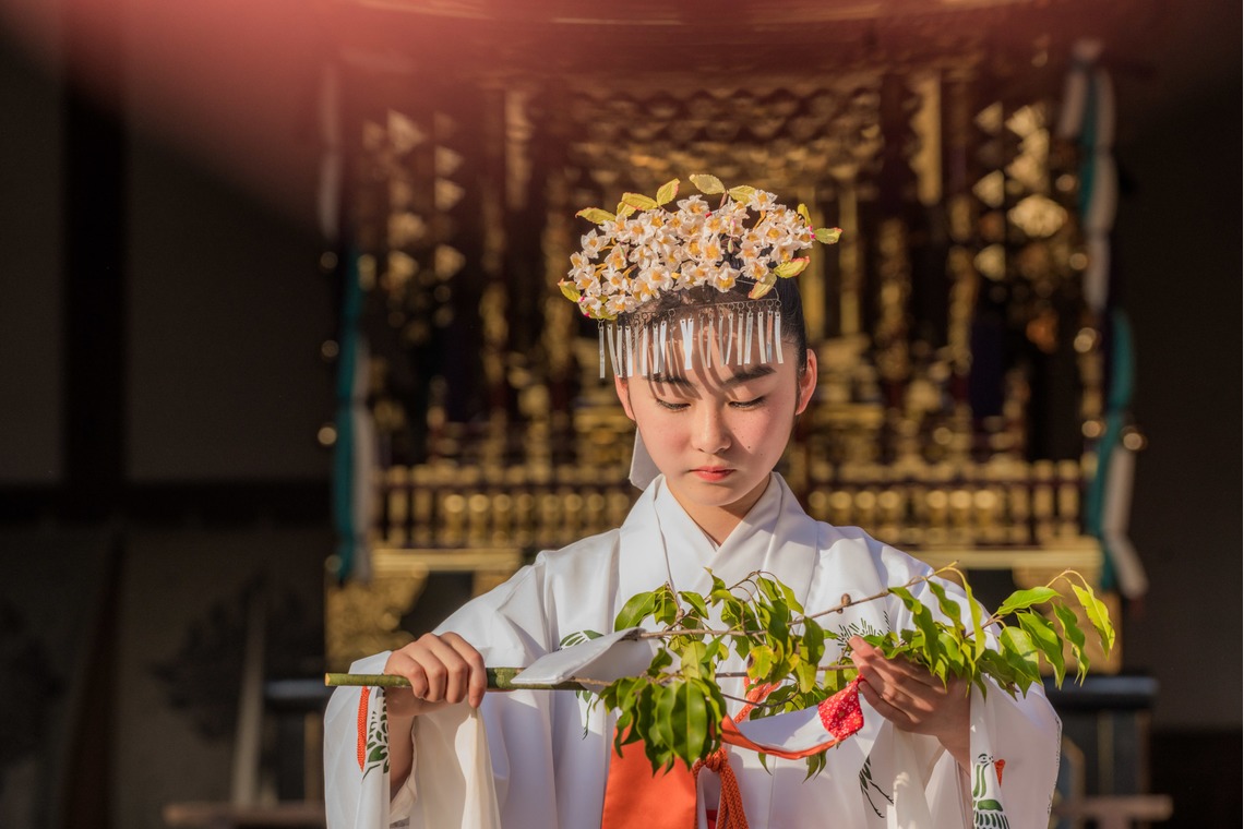 なかむーフォトが撮影した「祭り」の写真