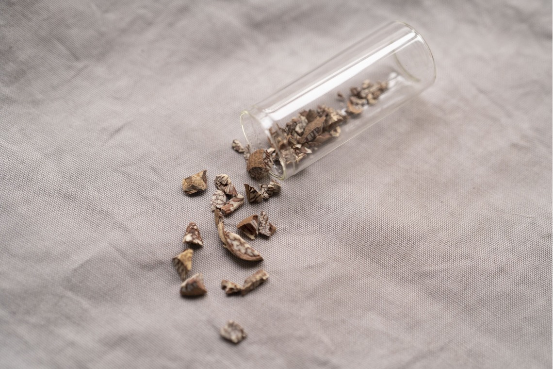 Hamuこども写真館が撮影した写真のアルバム「Hamu写真館」